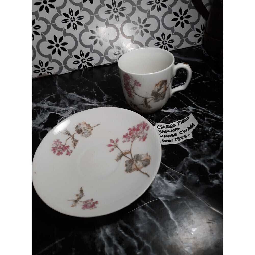 Charles Field Haviland Limoge tea set